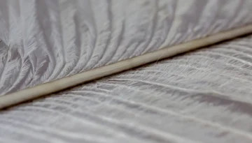 Plume blanche, un signe d'un défunt qui cherche à communiquer