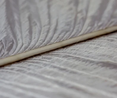 Plume blanche, un signe d'un défunt qui cherche à communiquer